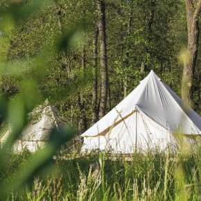 Eco Farm Camping 'de Waeldernis'